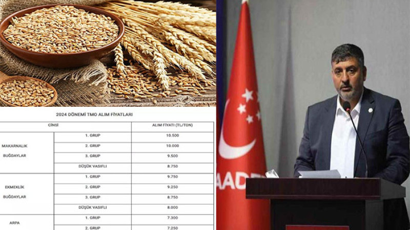Başkan Mustafa Canbay, Buğday  Alım Fiyatlarına Tepki Gösterdi