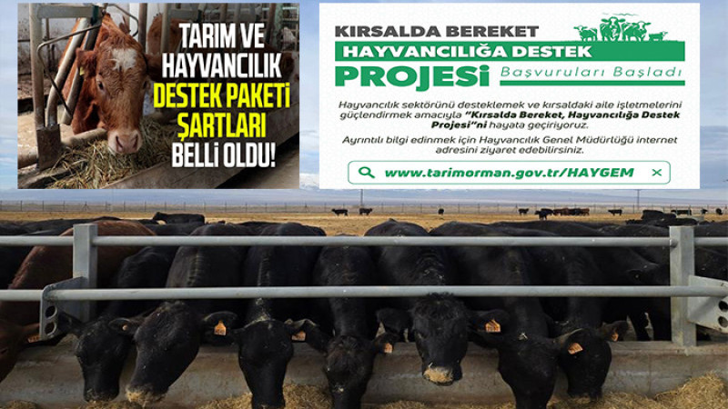 Kırsalda Bereket, Hayvancılığa Destek Projesi Başlıyor