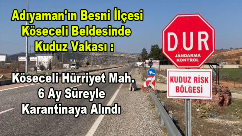 Besni Köseceli Beldesi 