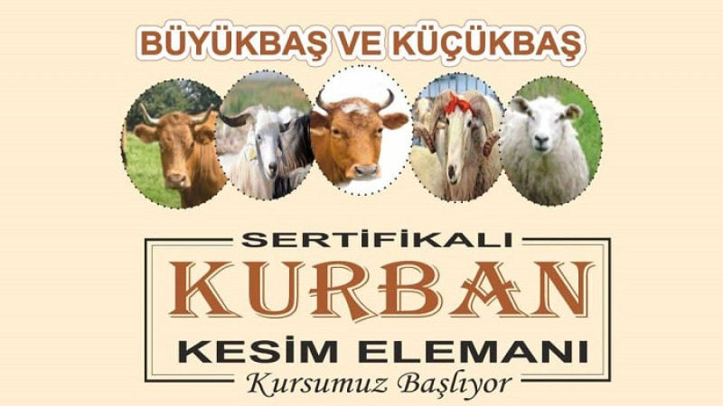Malatya'da  ‘Küçükbaş ve Büyükbaş Kurban Kesim Kursu’ Düzenlenecek