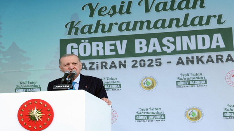 Cumhurbaşkanı Erdoğan: Her Şeye Bütçe Var Ama Yangın Önlemeye Yok