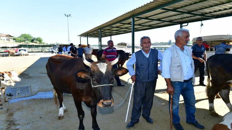 Yeşilyurt Belediyesi 41 Noktada Kurban Satış ve Kesim Yeri Belirledi
