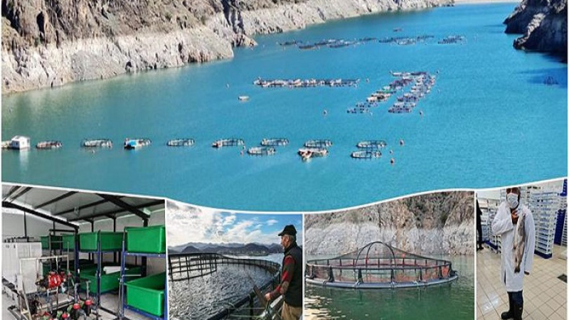 2025 Yılı Su Ürünleri Yetiştiriciliği Destekleme Başvuruları Başladı