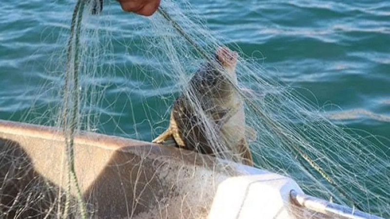 Malatya’da Su Ürünleri Av Yasağı 1 Nisan-30 Haziran'da Başlıyor