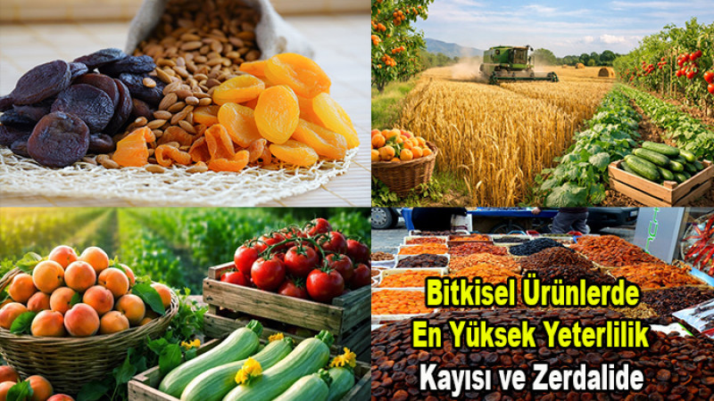 Bitkisel Ürünlerde En Yüksek Yeterlilik Kayısı ve Zerdalide