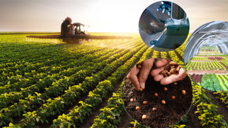 Malatya'lı Üreticiler Dikkat! Tarımsal Destek Ödemeleri Hesaplara Yatıyor