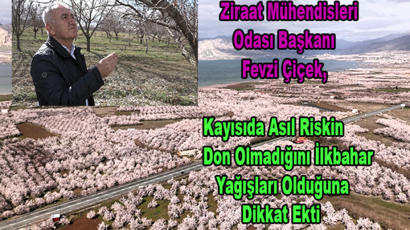  Fevzi Çiçek, Kayısıda Asıl Risk Don Değil, İlkbahar Yağışları