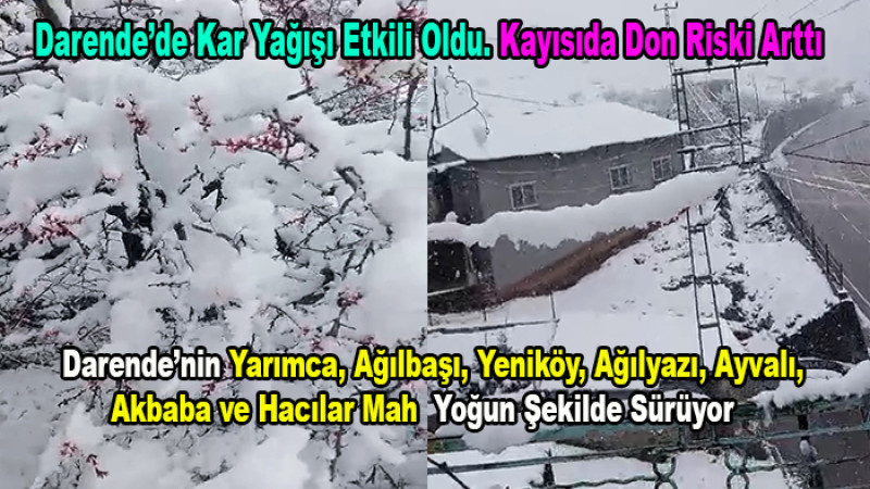 Darende’ye Nisan’da Kış Geri Döndü: Kayısıda Don Riski Arttı
