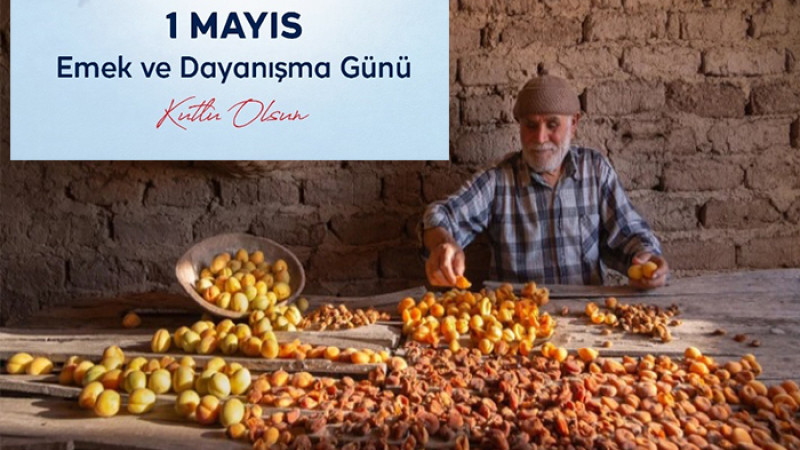 1 Mayıs Emek ve Dayanışma Günü Kutlu Olsun