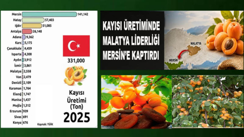 Kayısı Üretiminde Malatya Liderliği Mersin'e Kaptırdı