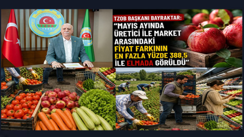 Tarlada 18 Lira, Olan Ürün Markette 91 Lira.  Aradaki Fark % 388,5