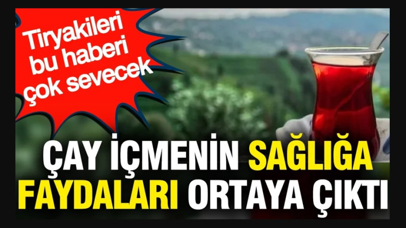 Çay İçmenin Sağlığa Faydaları Belli Oldu 
