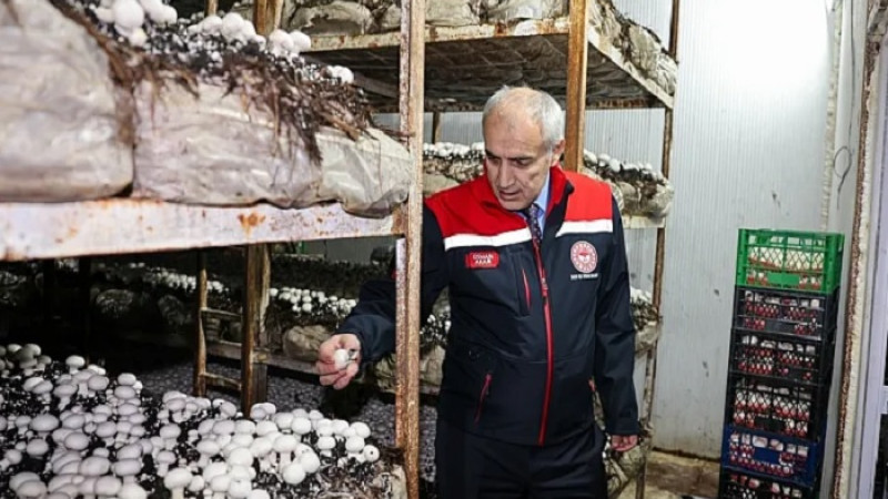 Akçadağ ve Doğanşehir'de  Mantar Üretim Tesislerini Denetledi