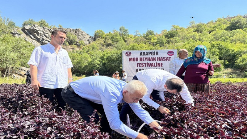Arapgir'de Düzenlenen Festival Renkli Görüntülere Sahne Oldu