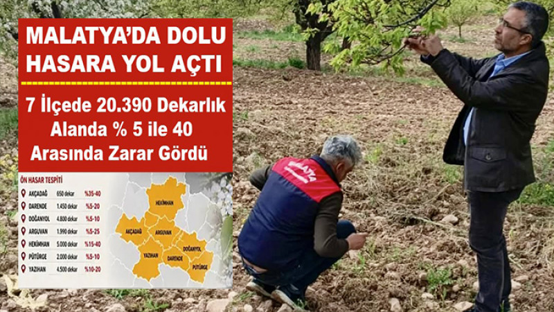Malatya’da Dolu Hasarı: 20.390 Dekarı Aşkın Tarım Arazisi Etkilendi