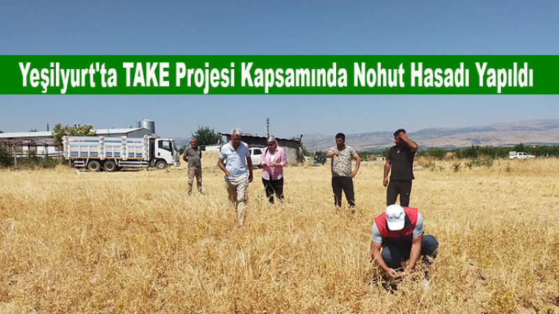 Yeşilyurt'ta TAKE Projesi Kapsamında Nohut Hasadı Yapıldı
