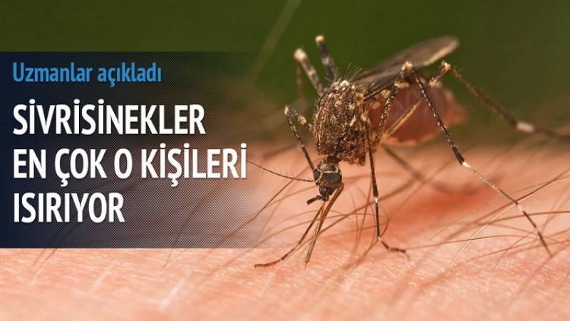 Sivrisineklerin Daha Çok Stresli İnsanları Isırdığı Ortaya Çıktı