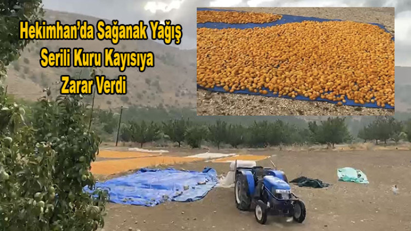 Hekimhan’da Sağanak Dereleri Taşırdı, Kayısı Sergenleri Zarar Gördü
