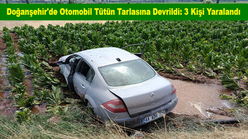 Doğanşehir'de Otomobil Tütün Tarlasına Devrildi: 3 Kişi Yaralandı