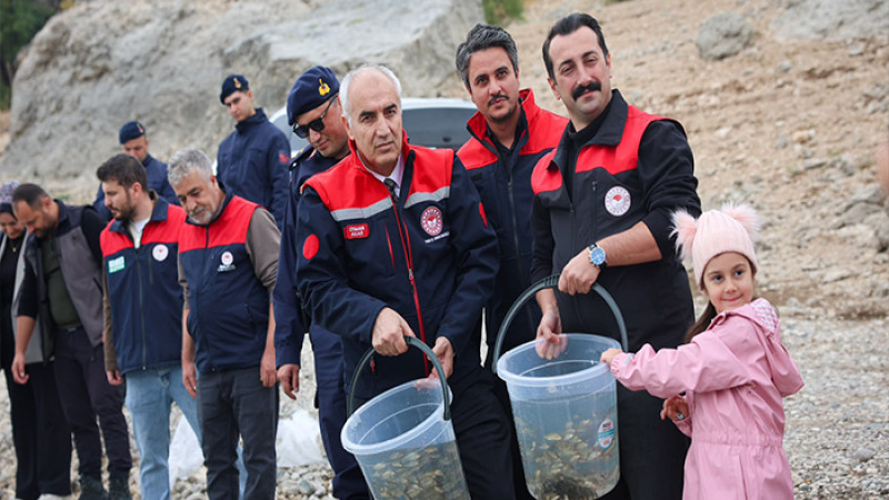 Malatya’da 1 Milyon 300.000 Sazan Yavrusu Suya Bırakıldı